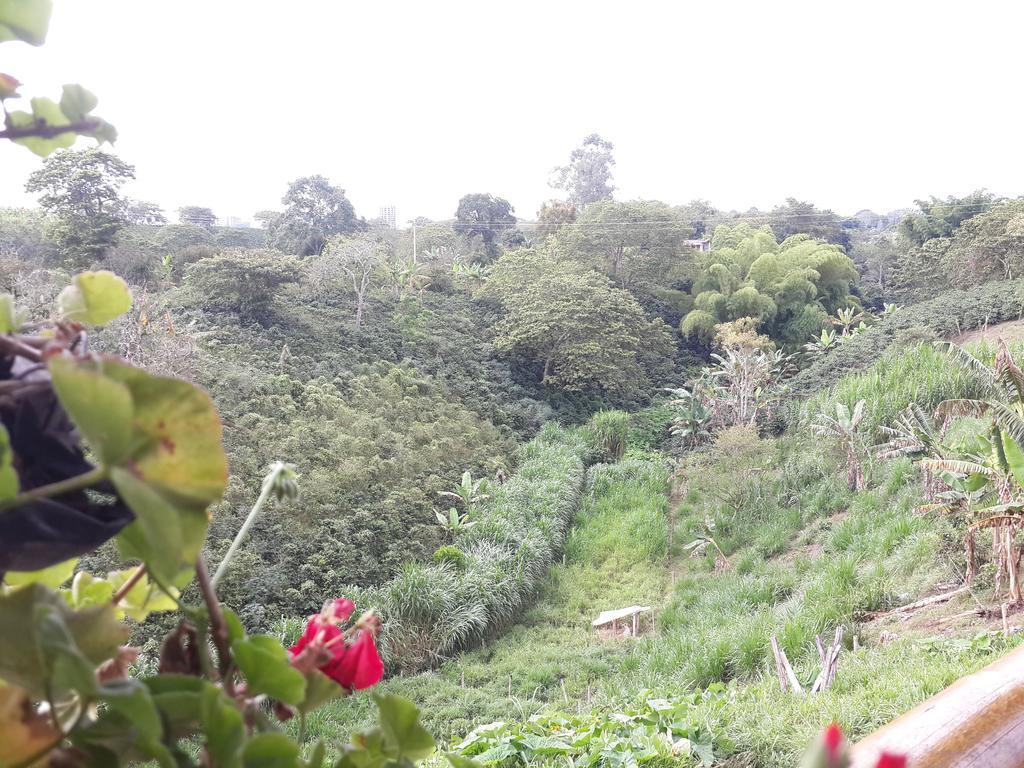 Finca El Diamante Villa Calarca Luaran gambar