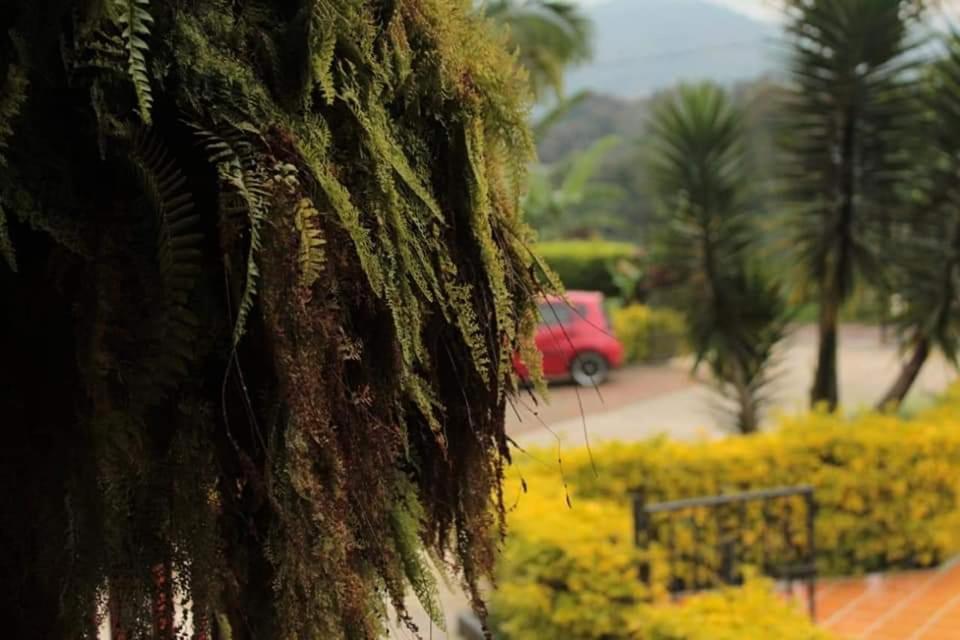 Finca El Diamante Villa Calarca Luaran gambar
